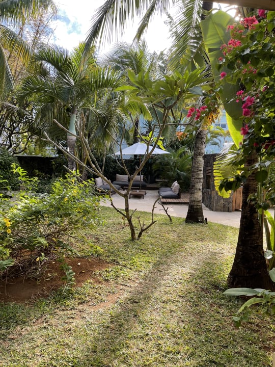 Gartenanlage Friday Attitude