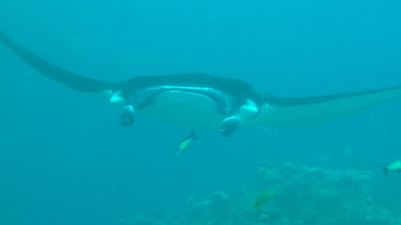 Sport & Freizeit Summer Island Maldives