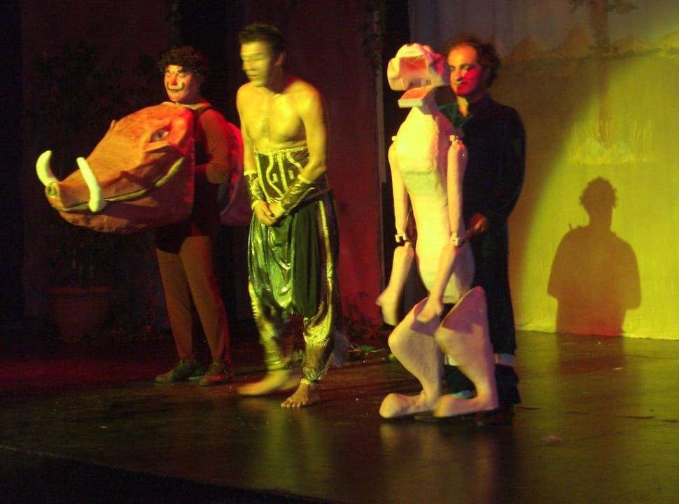 König der Löwen Turquoise Hotel