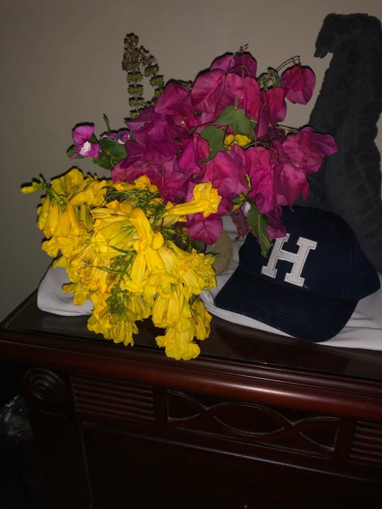 Zimmer Imperial Shams Abu Soma