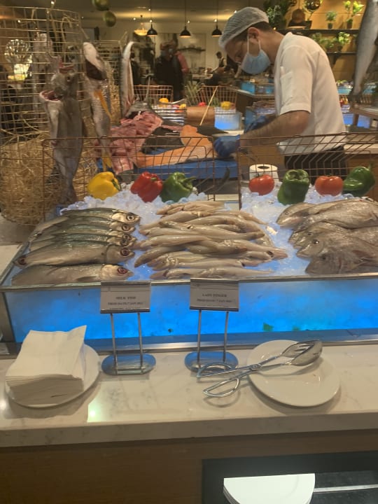 Gastro Rixos The Palm Hotel & Suites