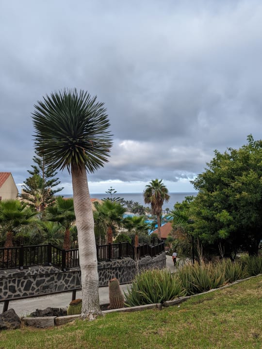 Gartenanlage La Palma Princess