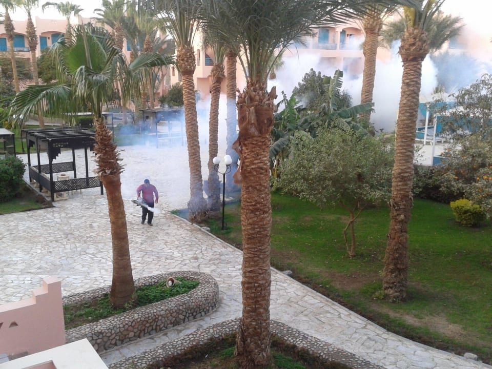 Hotel Le Pacha Beach Resort Hotel Le Pacha Beach Resort