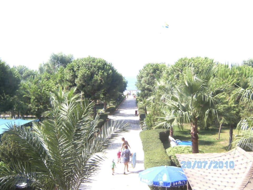 Blick aus unserem Fenster Club Turtas Beach Hotel