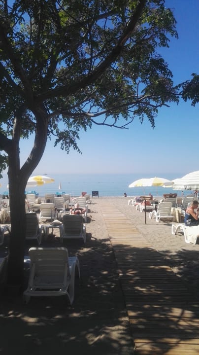 Strand Hotel Gardenia Beach