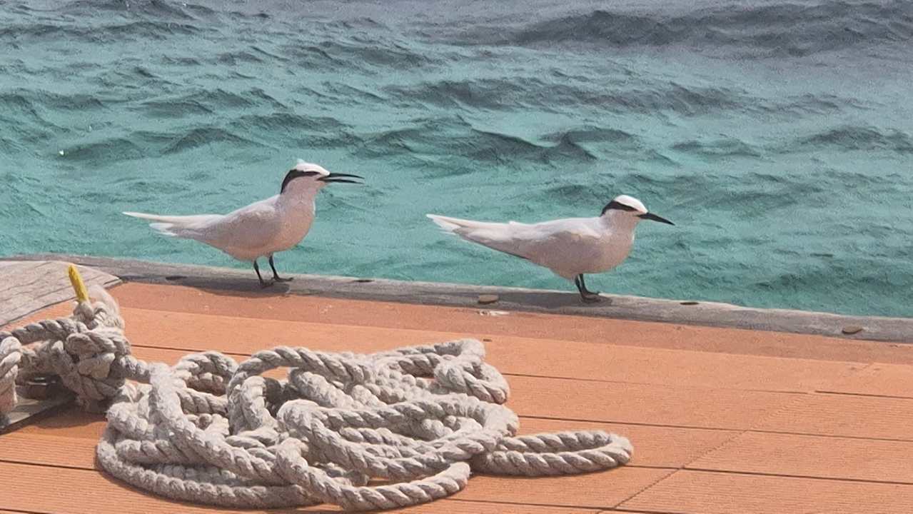 Ausblick Dreamland The Unique Sea & Lake Resort / Spa