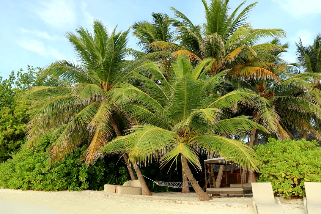 Außenbereich bei der Bar  Veligandu Maldives Resort Island