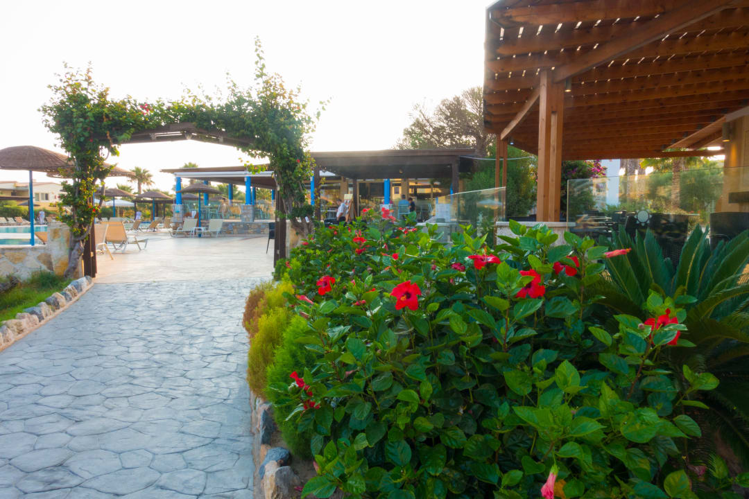Gartenanlage Achilleas Beach Adults Only