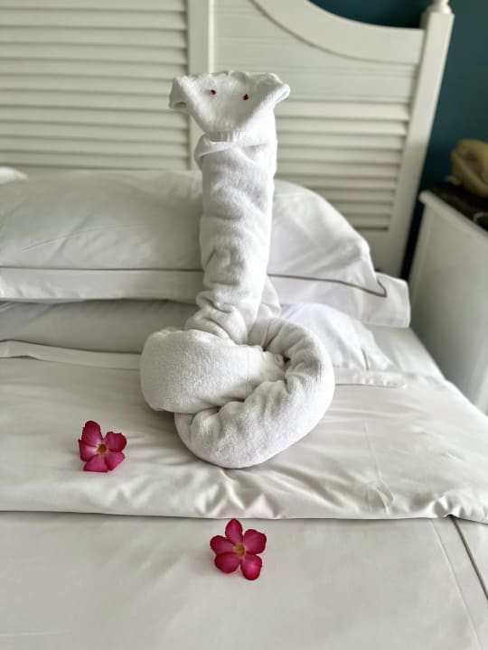 Zimmer Taj Bentota Resort & Spa