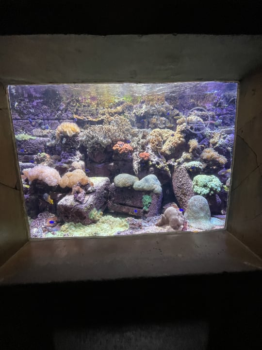 Sport & Freizeit Atlantis, The Palm