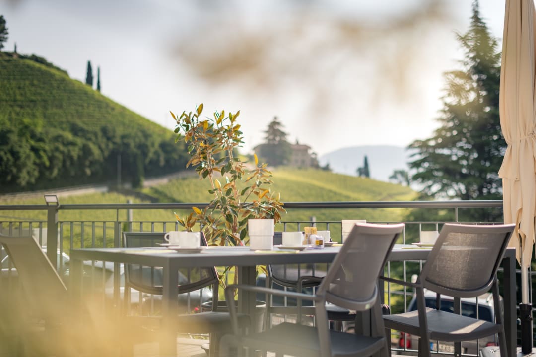 Gastro Residence Garni Hotel Vineus