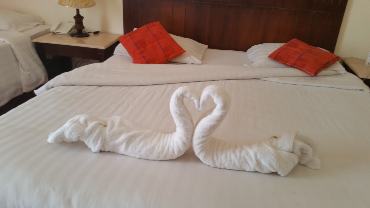 Zimmer Three Corners Sea Beach Resort