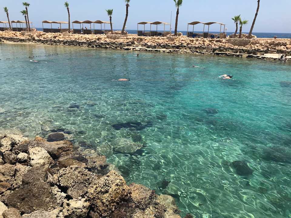 Strand Pickalbatros Citadel Resort