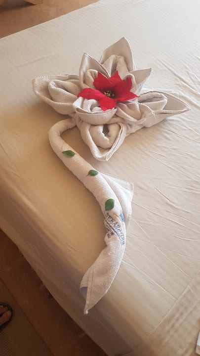 Zimmer Grand Waterworld Makadi & Family Star Makadi