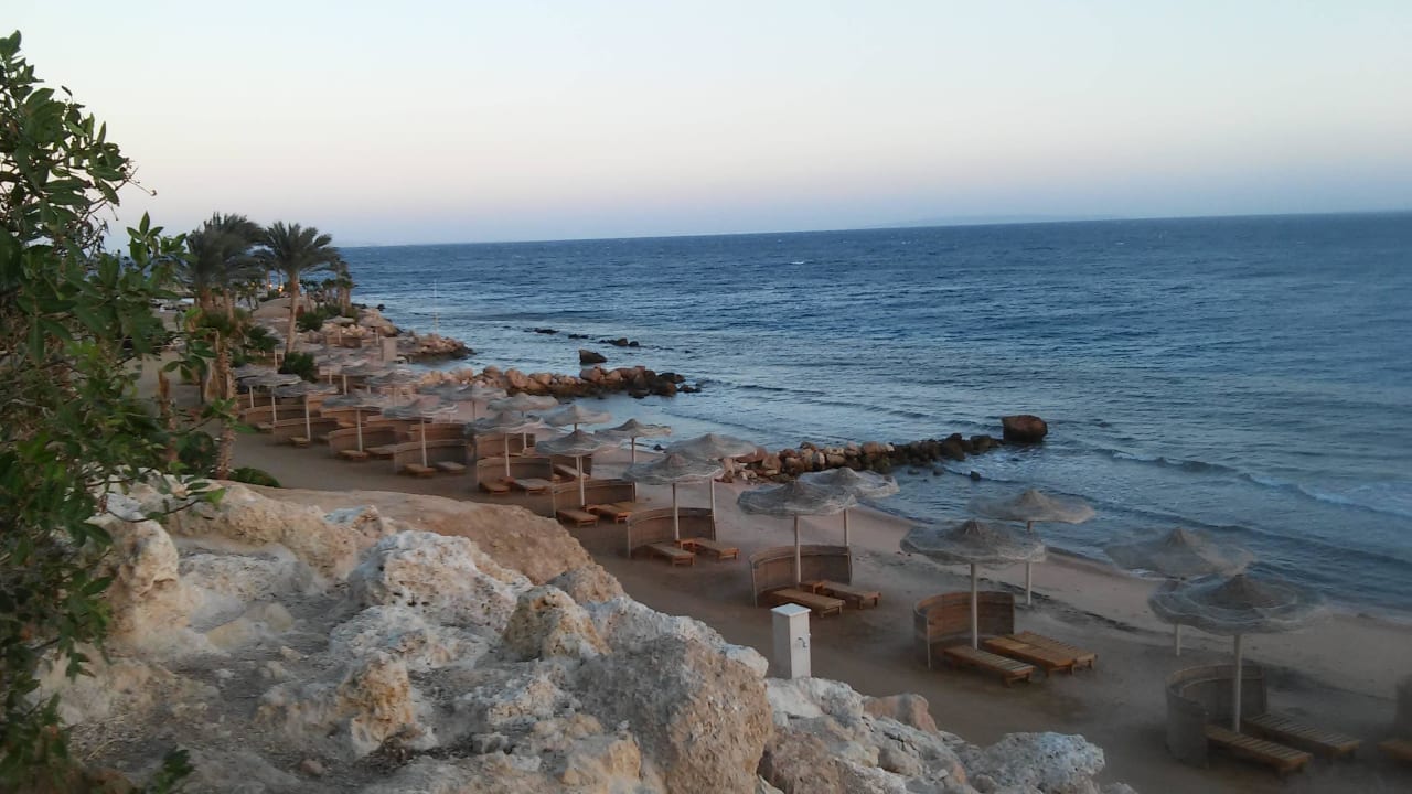 Strand rechts vom Hotel - traumhaftes Schnorcheln  Pickalbatros Citadel Resort