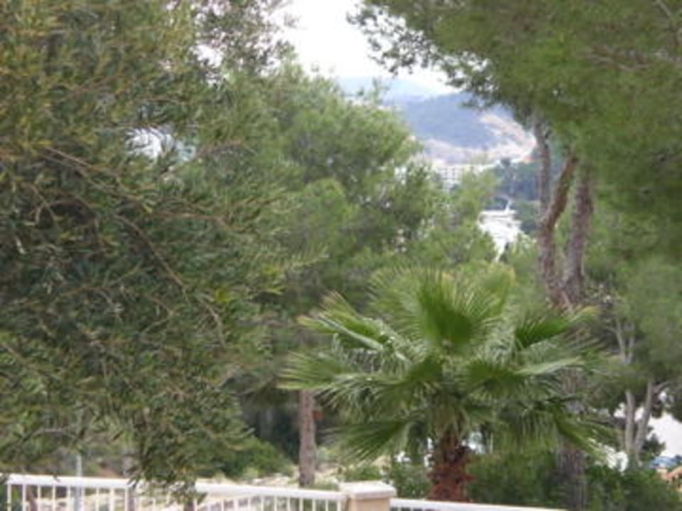 Blick vom Balkon Bordoy Don Antonio