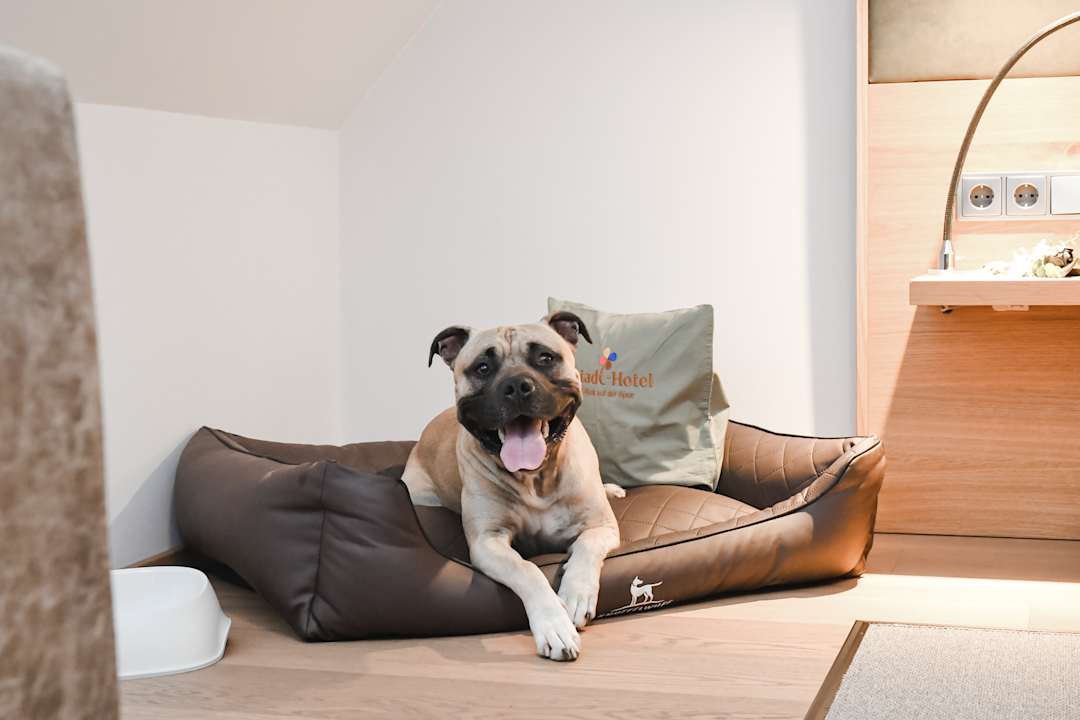 Sonstiges Altstadt Hotel