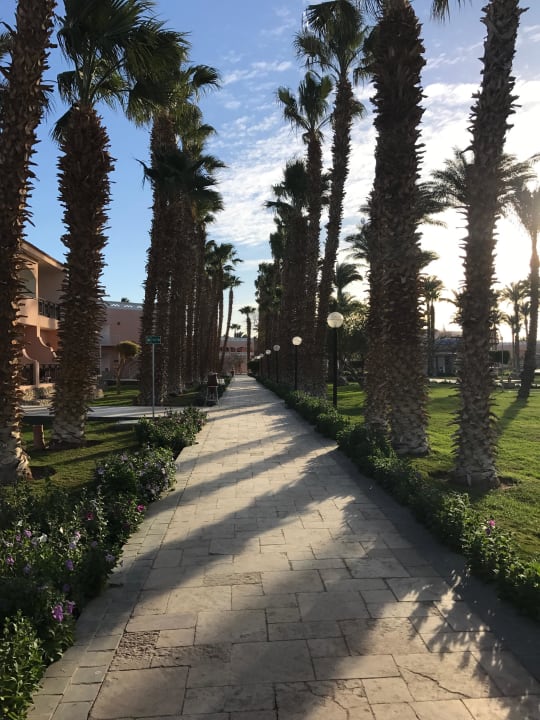 Gang zum Haupthaus Beach Albatros Resort