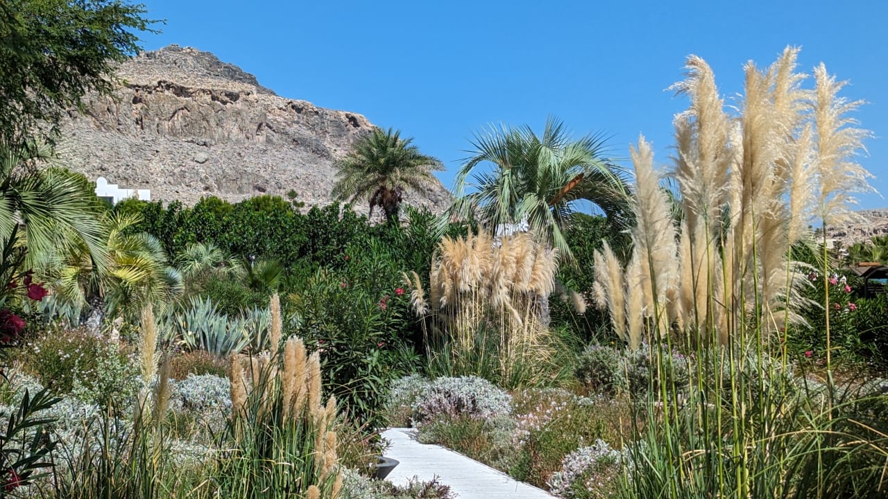 Gartenanlage Aquagrand Artistic Luxury Beach Resort - Adults only