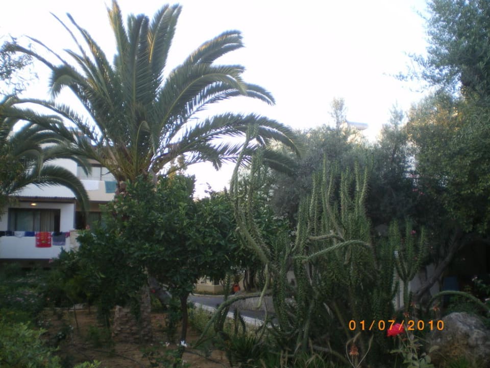 Uliczka hotelowa Sirios Village Hotel & Bungalows