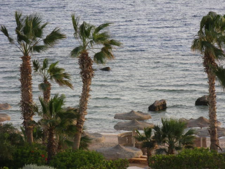 Karibik?? Pickalbatros Citadel Resort