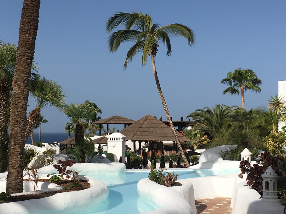 Pool Dreams Jardín Tropical