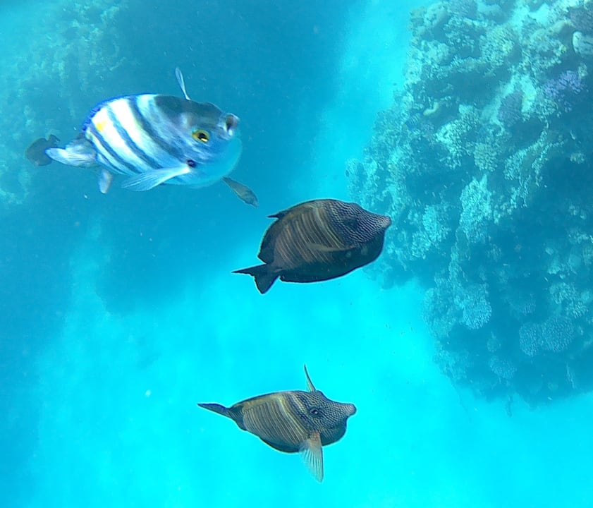 Strand Brayka Bay Resort