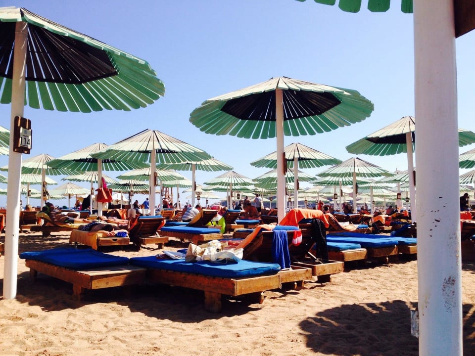 Hotelstrand ca. 10min vom Hotel entfernt Ghazala Gardens