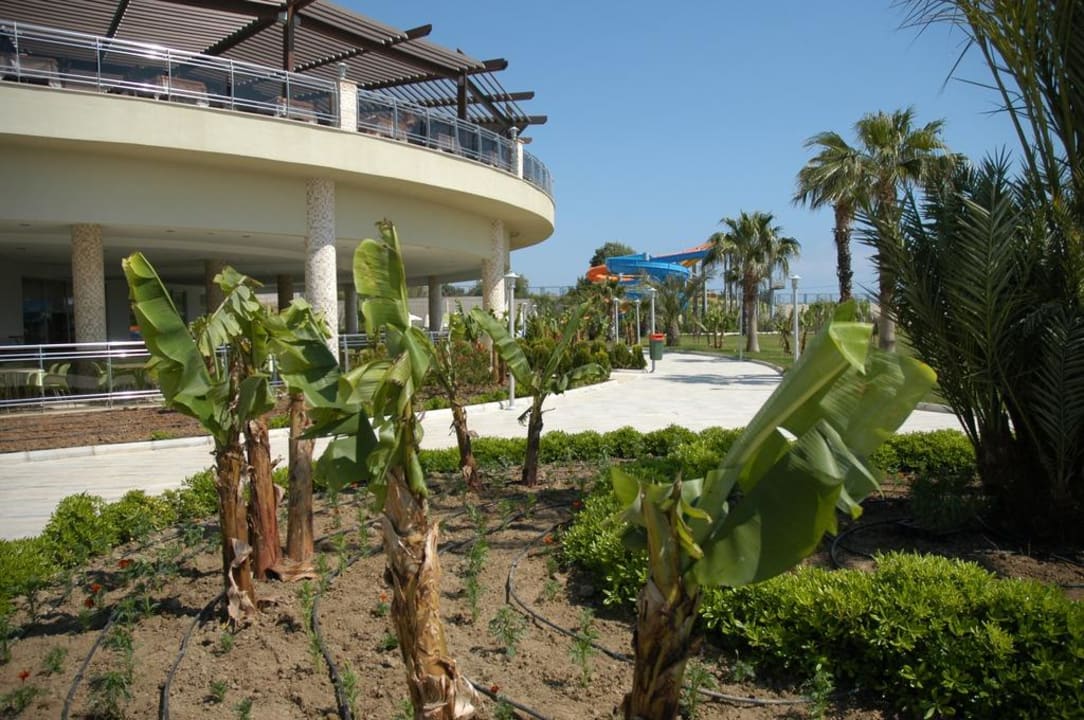 Weg zu den Rutschen Vita Silva Hotel