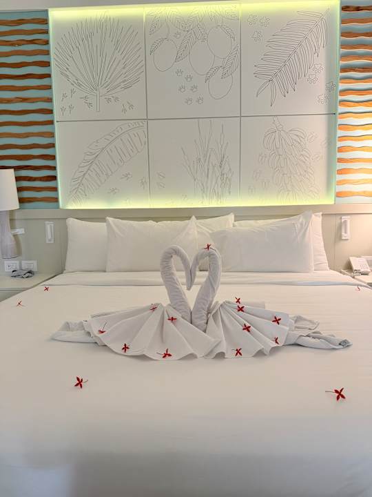 Zimmer Iberostar Selection Coral Bávaro