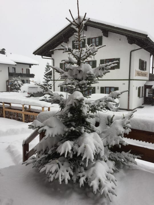 Ein Tannenbaum mit Schnee auf der Terrasse! Gästehaus Höflinger