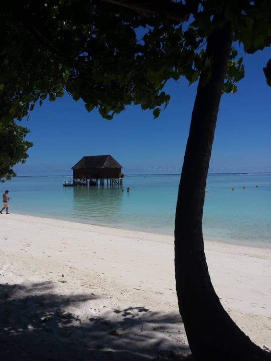 Blick auf die Honeymoonsuite Meeru Maldives Resort Island