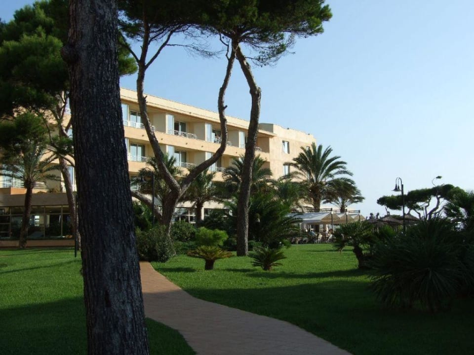 Der Hotelgarten Grupotel Natura Playa