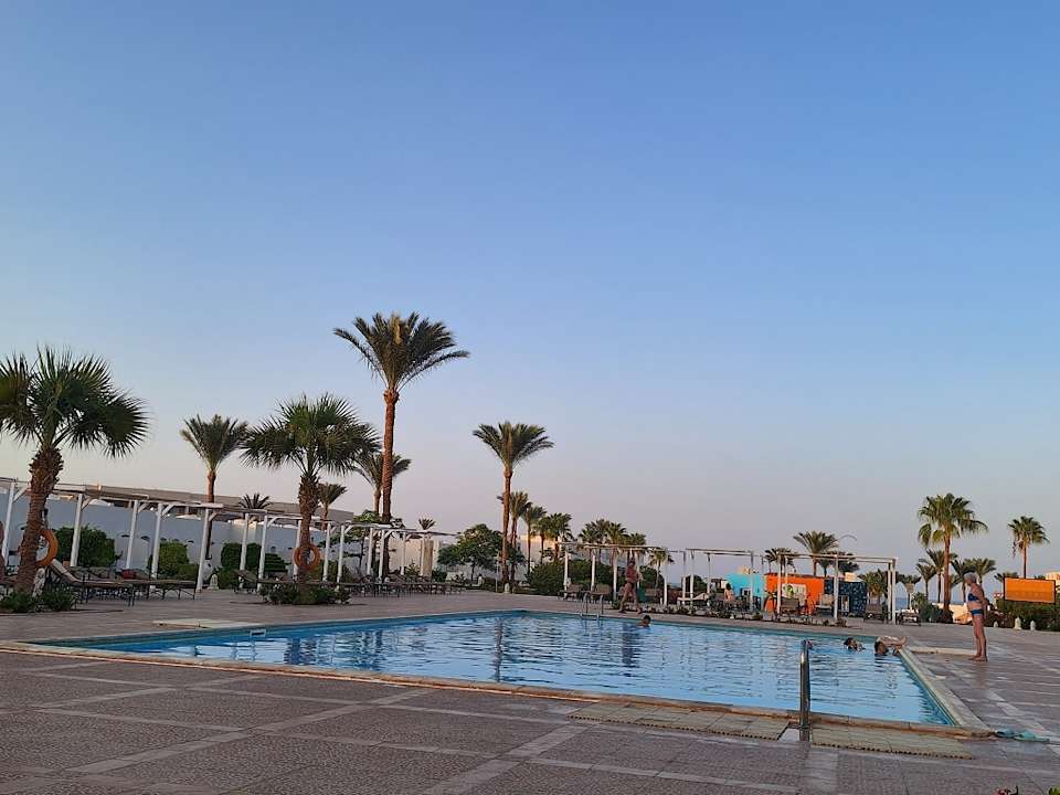 Pool JAZ Neo Reef Marsa