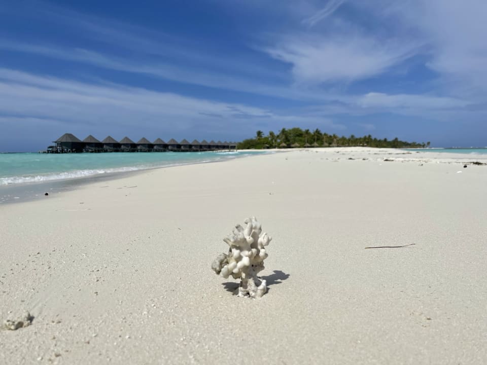 Strand Kuredu Island Resort & Spa