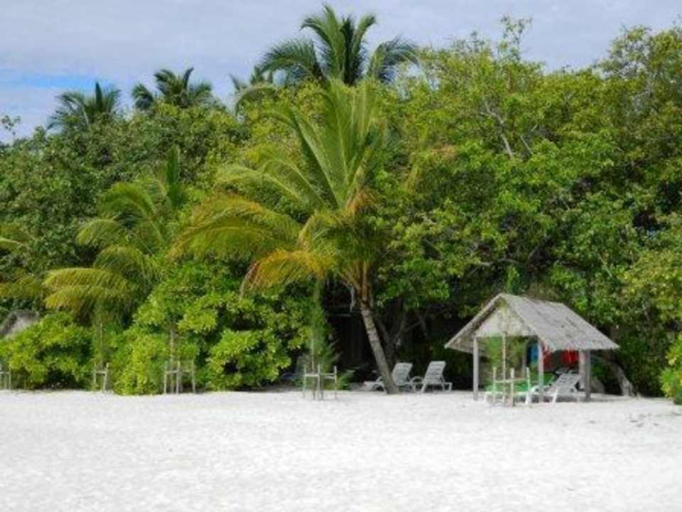 Strand Summer Island Maldives