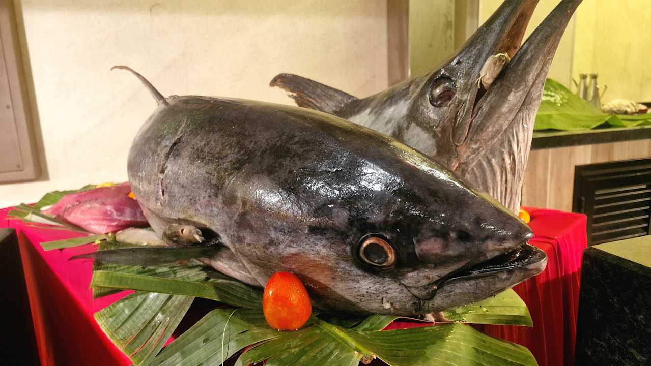 Gastro Hotel Riu Jambo