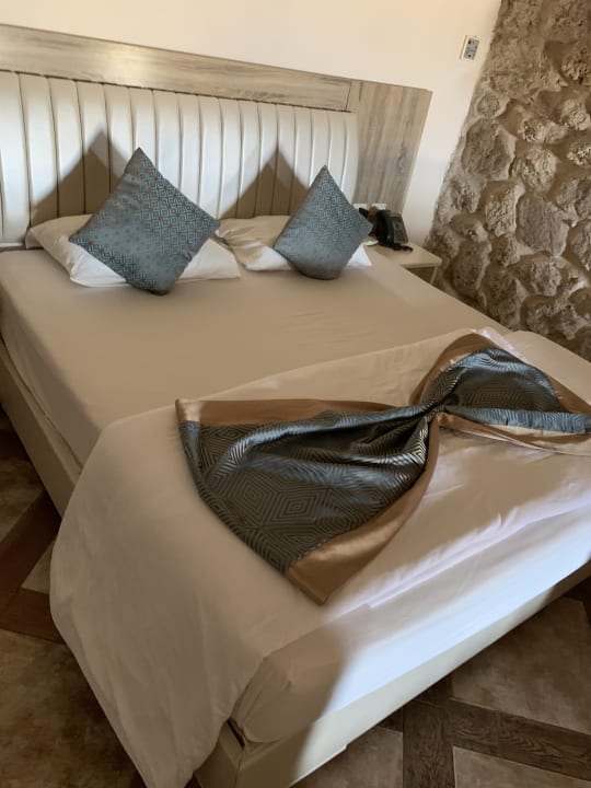 Zimmer Pickalbatros Citadel Resort