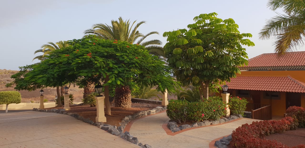 Gartenanlage Bahia Principe Sunlight Costa Adeje