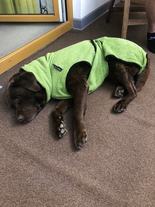 Sonstiges Hotel Lindenwirt