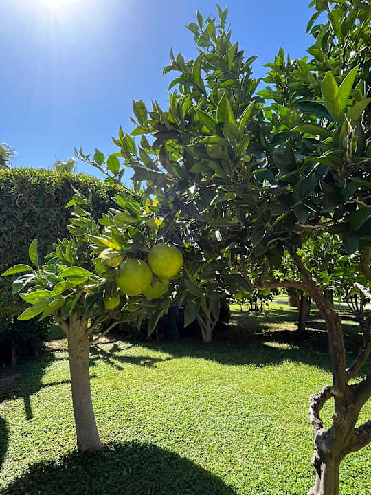 Gartenanlage Bella Resort & Spa