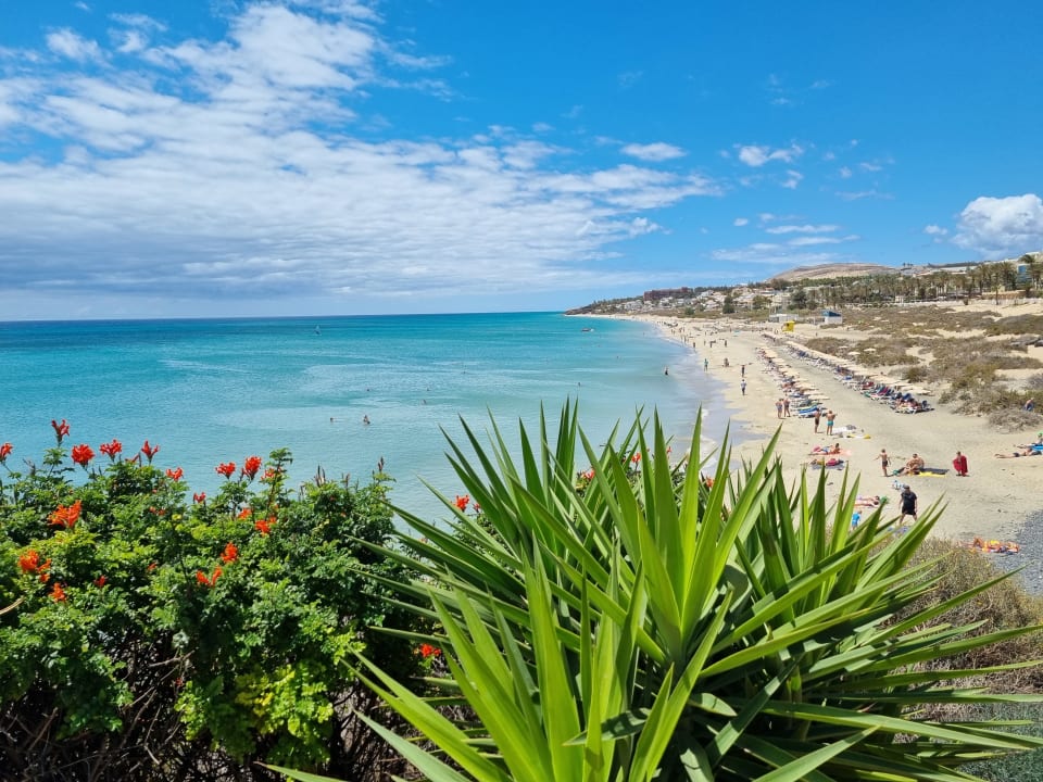 Strand SBH Hotel Taro Beach