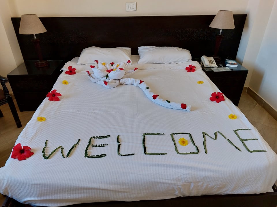 Zimmer Rohanou Beach Resort