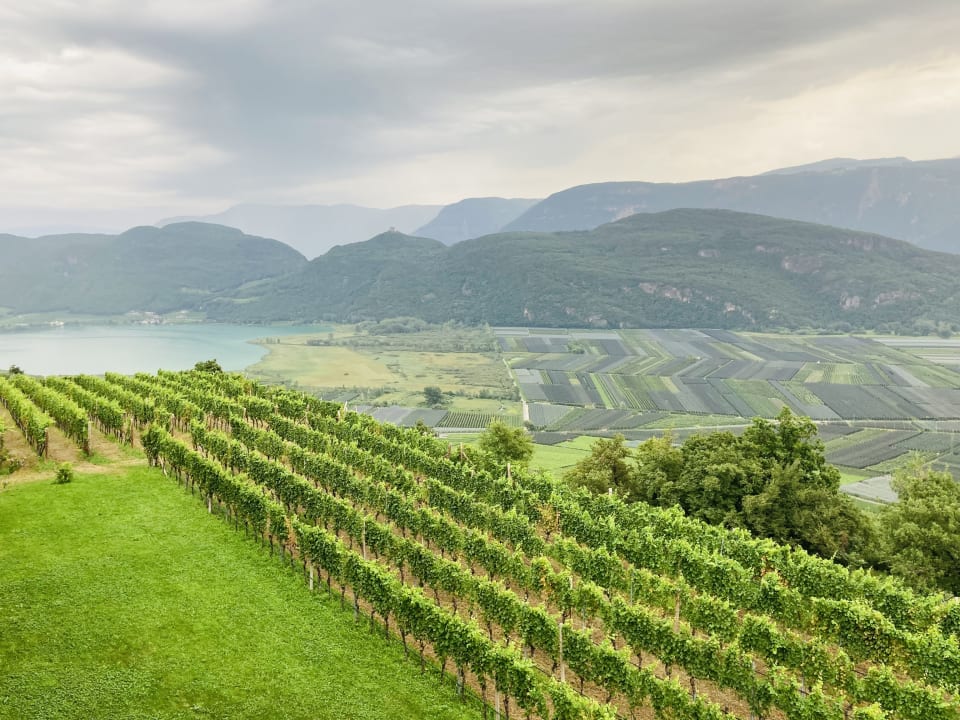Ausblick Hotel Plattenhof