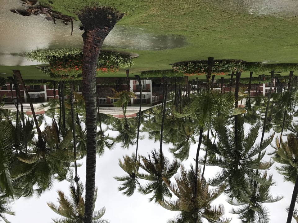 Bungalow Grand Palladium Select Bávaro Resort & Spa