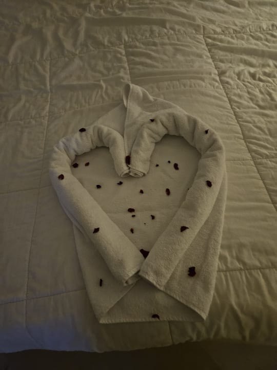 Zimmer Medina Solaria & Thalasso