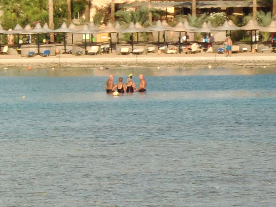 Das ist die tiefste Stelle zum Schwimmen!! Jaz Dar EL Madina