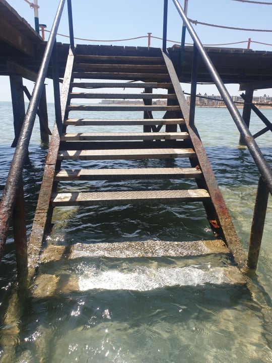 Sonstiges AMC Royal Hotel & SPA