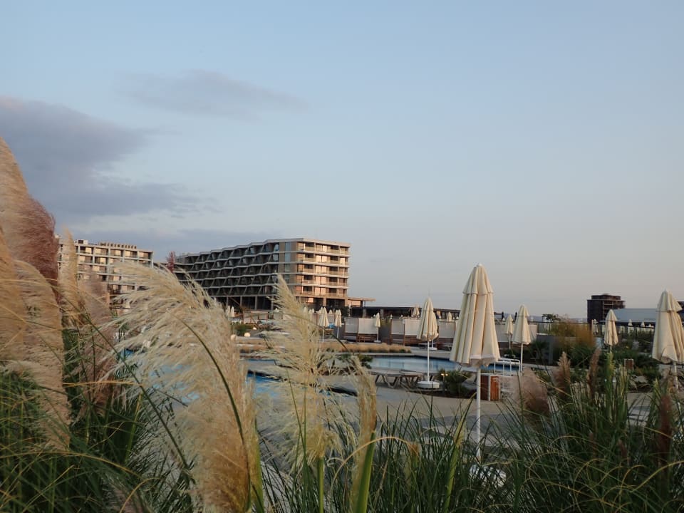 Gartenanlage Wave Resort