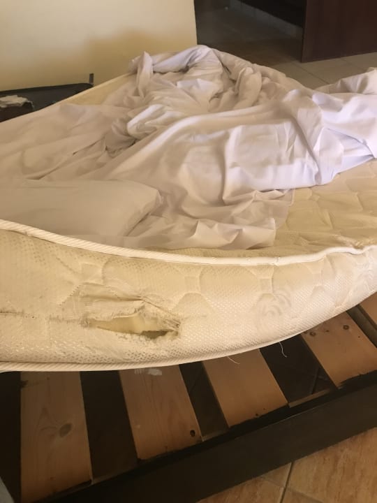 Zimmer Regency Plaza Aqua Park & Spa